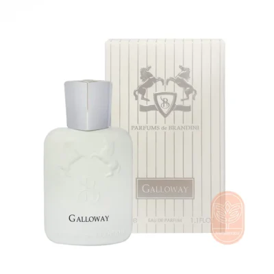 خرید عطر گالووی برندینی