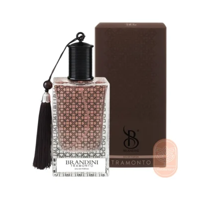 خرید عطر مردانه ترامنتو برندینی