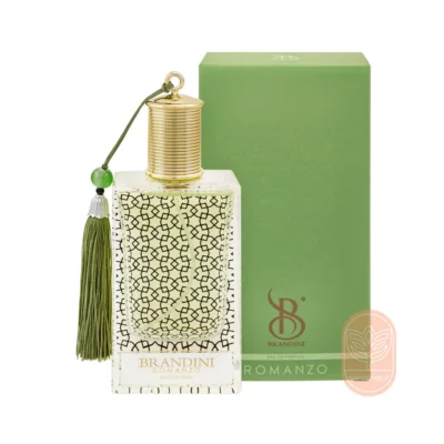 خرید عطر مردانه رومنزو برندینی