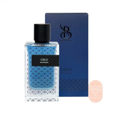 خرید عطر مردانه سیلو برندینی
