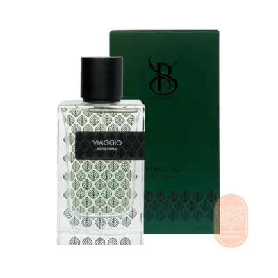 خرید عطر مردانه ویاجیو برندینی