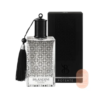خرید عطر مردانه پوتنته برندینی