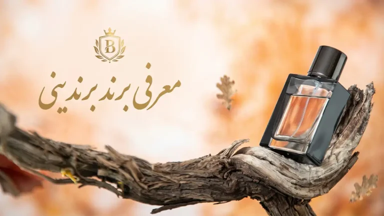 معرفی برند برندینی