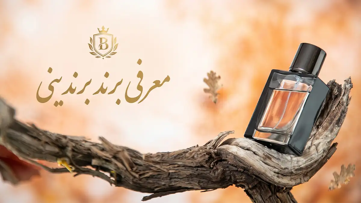 معرفی برند برندینی
