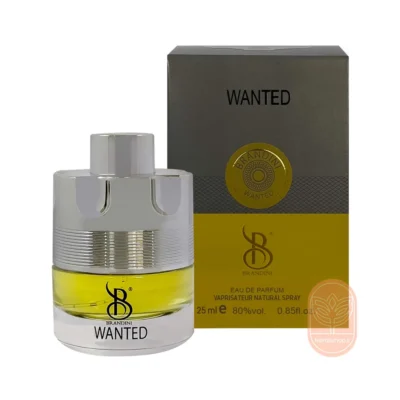 خرید عطر وانتد مردانه برندینی