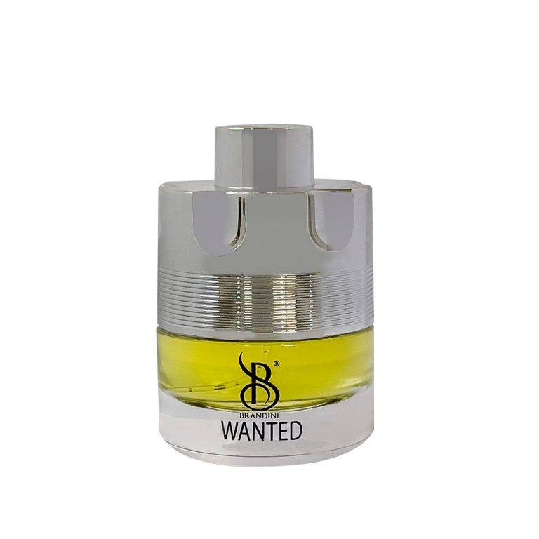 عطر وانتد مردانه برندینی