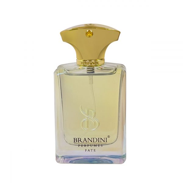 عطر ادکلن فیت مردانه برندینی | Brandini Fate - تصویر 2