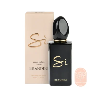 خرید عطر ادکلن سی اینتنس برندینی