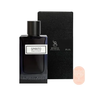 خرید عطر مردانه اسپیریتو برندینی