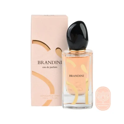 خرید عطر سی ادوپرفیوم برندینی