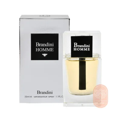 خرید عطر دیور هوم برندینی