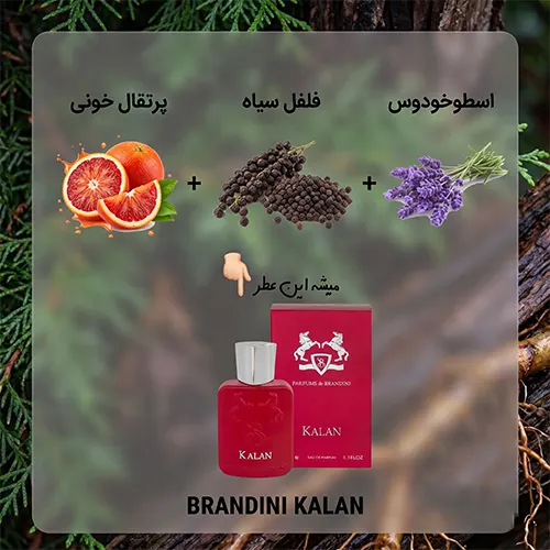 عطر ادکلن برندینی کالان مردانه