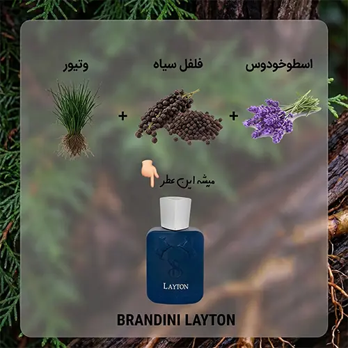 عطر مردانه برندینی لیتون