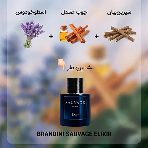 برندینی ساواج الکسیر